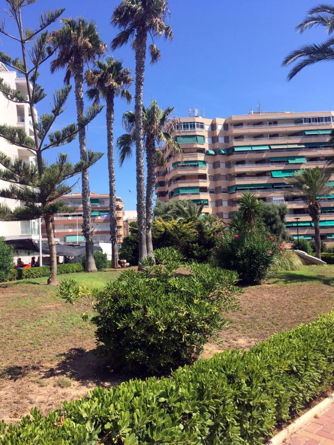 Apartmento Hana Con Terraza - Despues De La Renovacion General Ла-Мата Экстерьер фото
